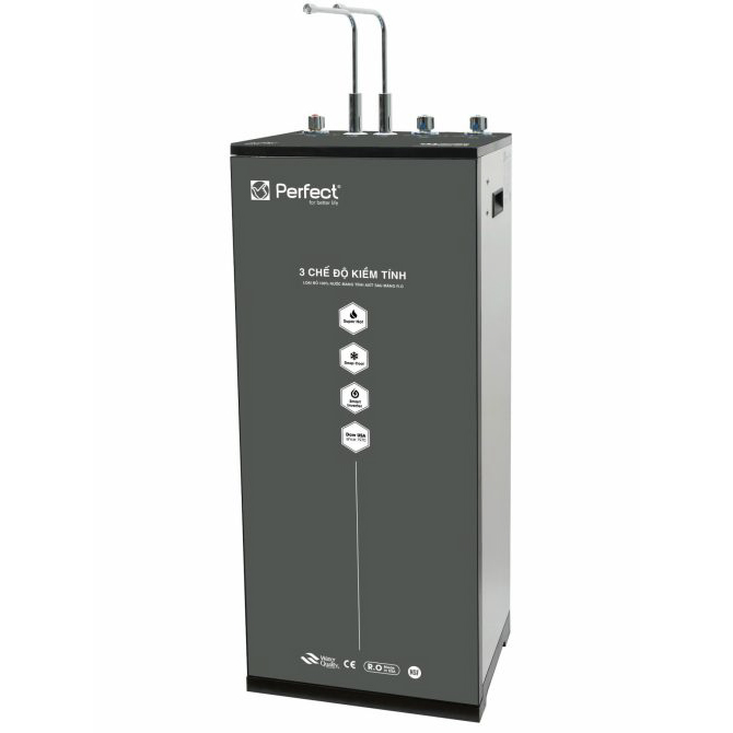 /Images/Products/nguyen.minh.luan_MÁY-XÁM-P303-500x750 copy_item_P303PLUSMAX.jpg